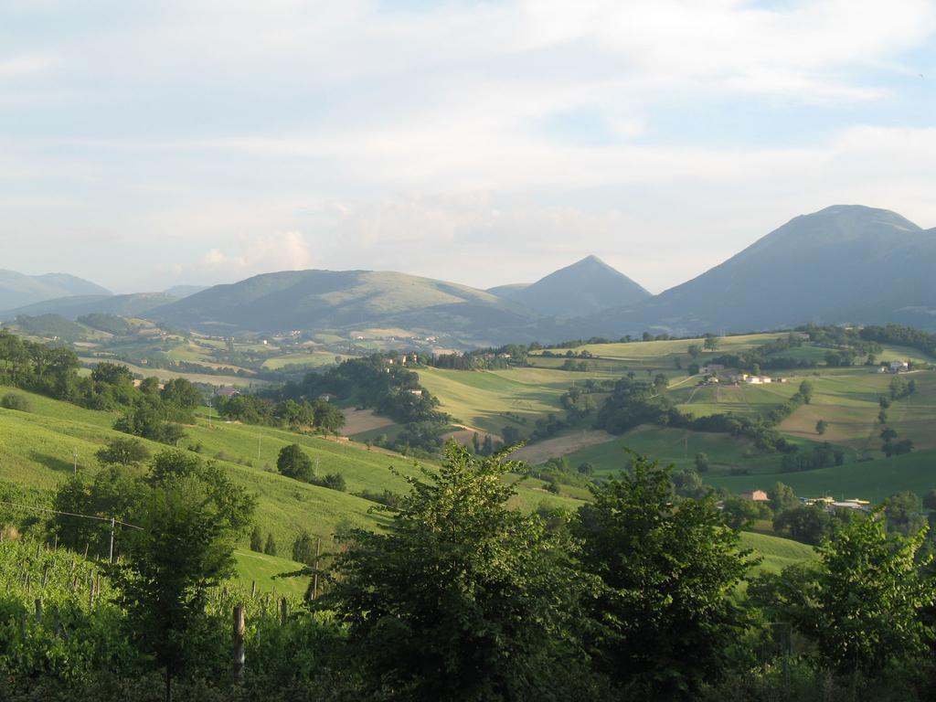 Locanda Dell'Istrice Camerino Pokoj fotografie